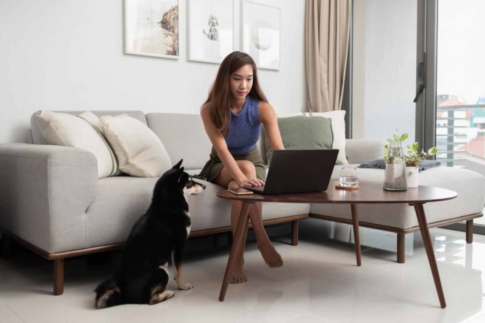 Professionelle Budgetplanung und Finanzorganisation